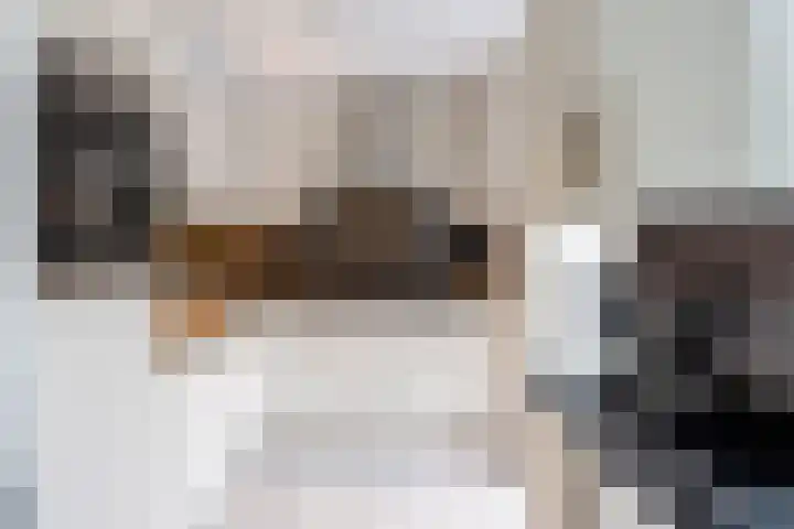 Kogeldistel 8 Venray thumbnail 14