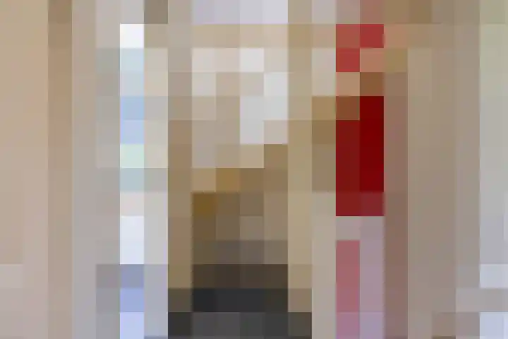 Kogeldistel 8 Venray thumbnail 20