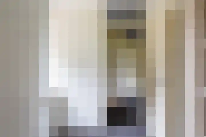 Kogeldistel 8 Venray thumbnail 21