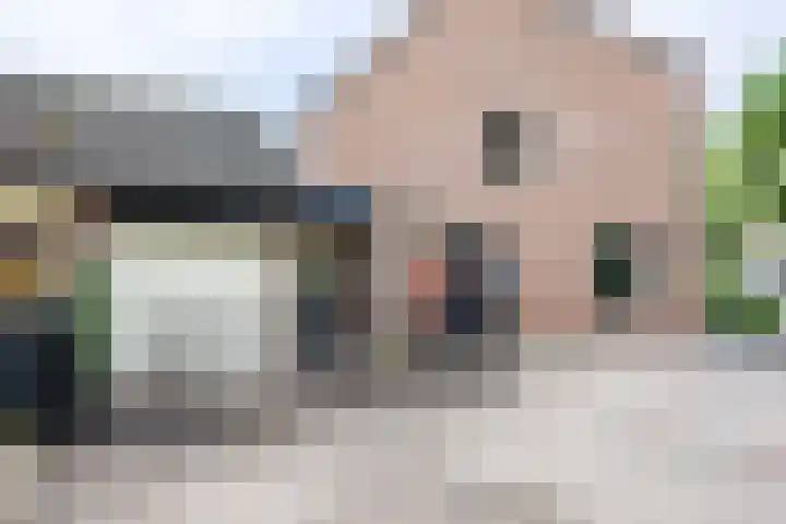 Kogeldistel 8 Venray thumbnail 30