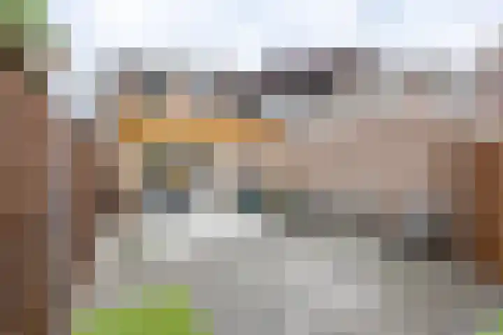 Kogeldistel 8 Venray thumbnail 32