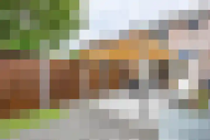 Kogeldistel 8 Venray thumbnail 33