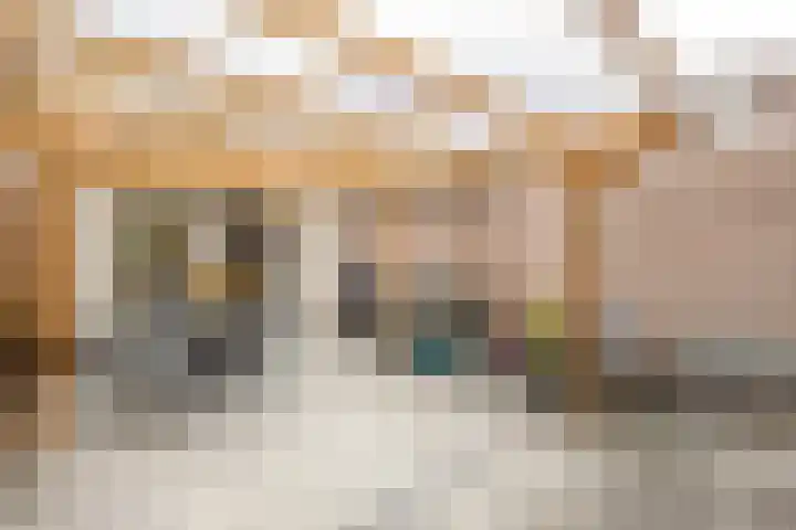 Kogeldistel 8 Venray thumbnail 34