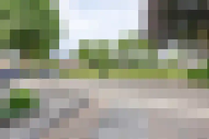 Kogeldistel 8 Venray thumbnail 35