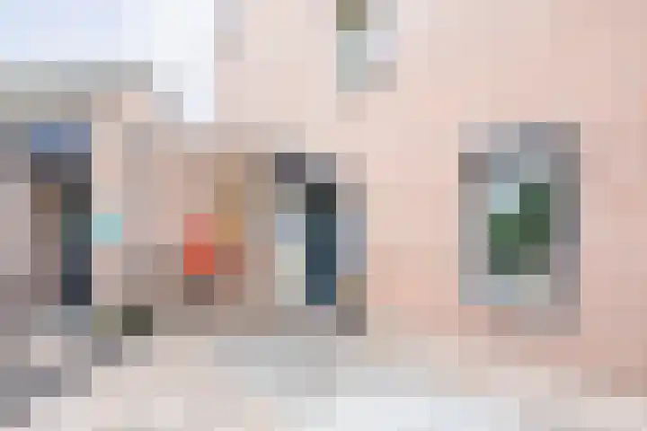 Kogeldistel 8 Venray thumbnail 4