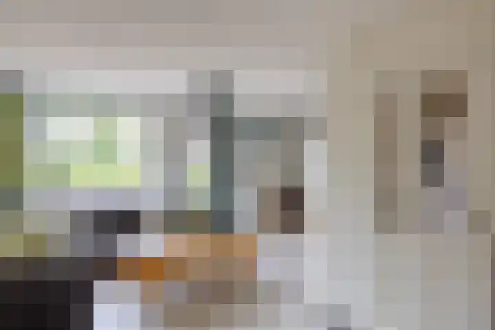 Kogeldistel 8 Venray thumbnail 8