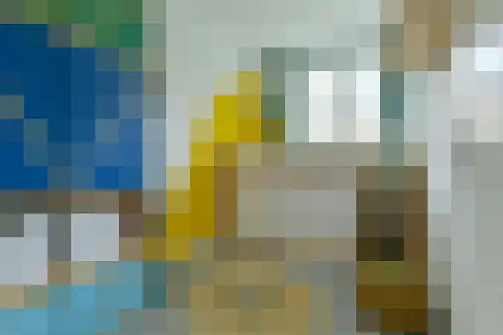 Kogeldistelstraat 6 Amsterdam thumbnail 13