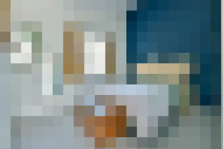 Kogeldistelstraat 6 Amsterdam thumbnail 16