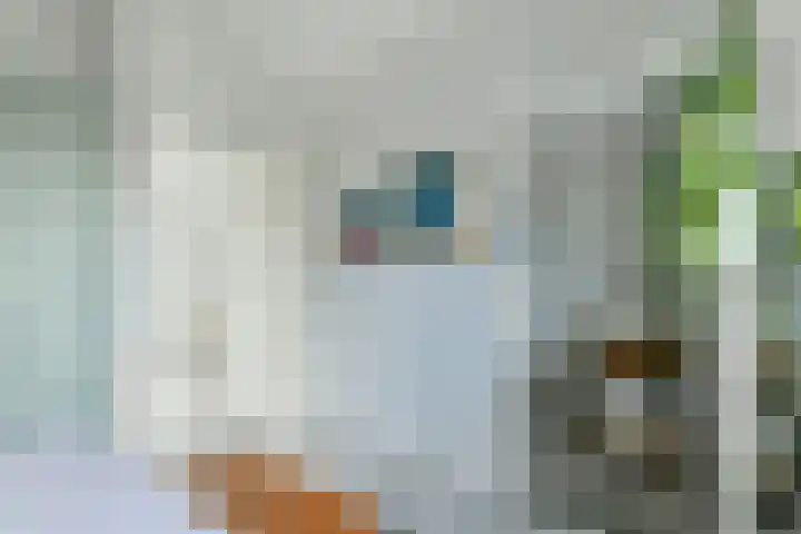 Kogeldistelstraat 6 Amsterdam thumbnail 17
