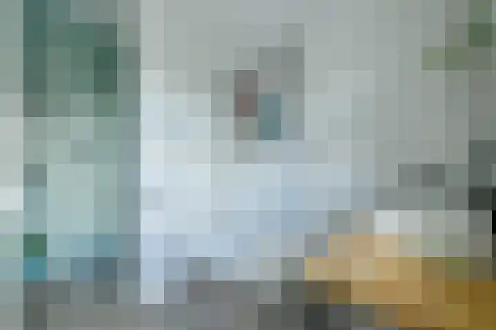 Kogeldistelstraat 6 Amsterdam thumbnail 18