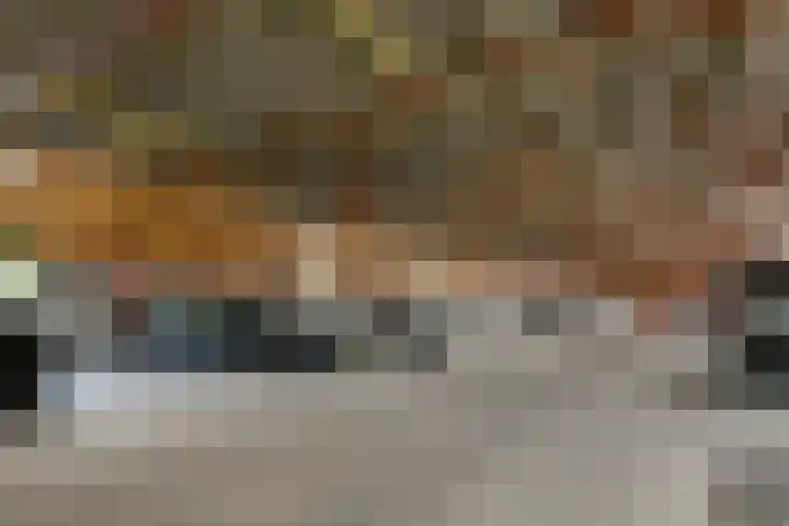 Kogeldistelstraat 6 Amsterdam thumbnail 27