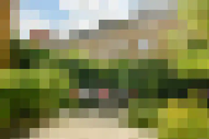 Kogeldistelstraat 6 Amsterdam thumbnail 6
