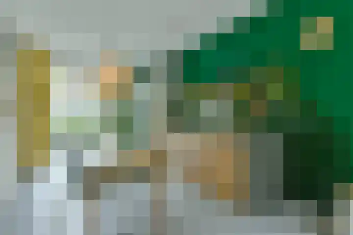 Kogeldistelstraat 6 Amsterdam thumbnail 9