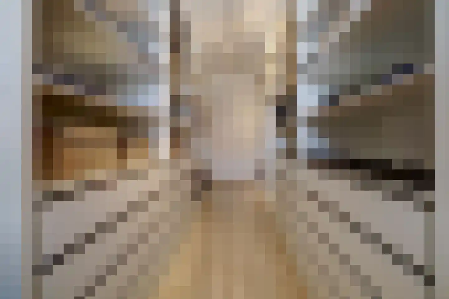 Kogelflesstraat 2 Baarle-Nassau thumbnail 36