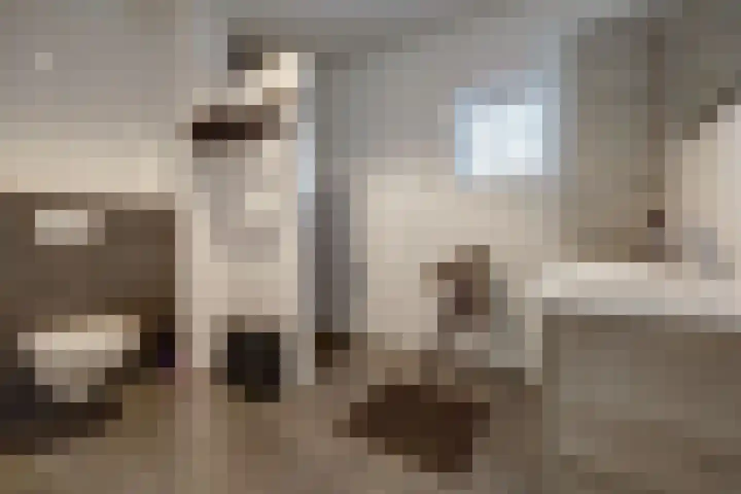 Kogelflesstraat 2 Baarle-Nassau thumbnail 37