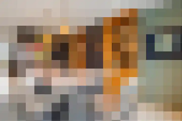 Kogelmolen 6 Muiden thumbnail 15