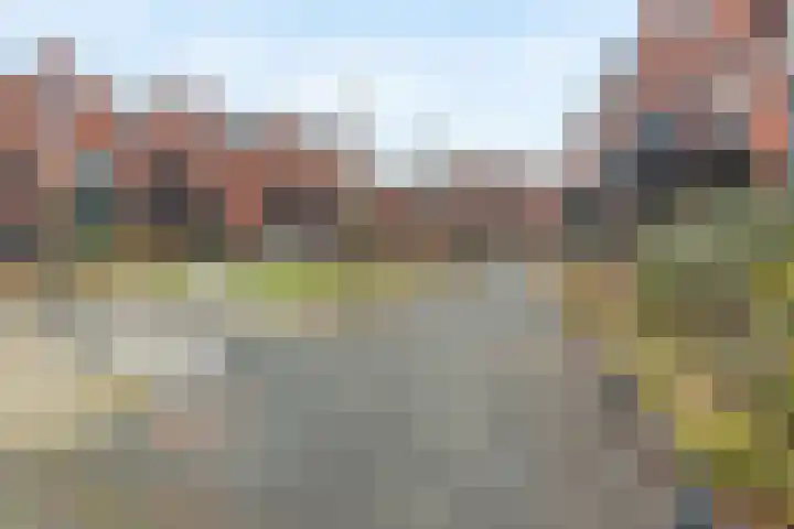 Kogelmolen 6 Muiden thumbnail 30