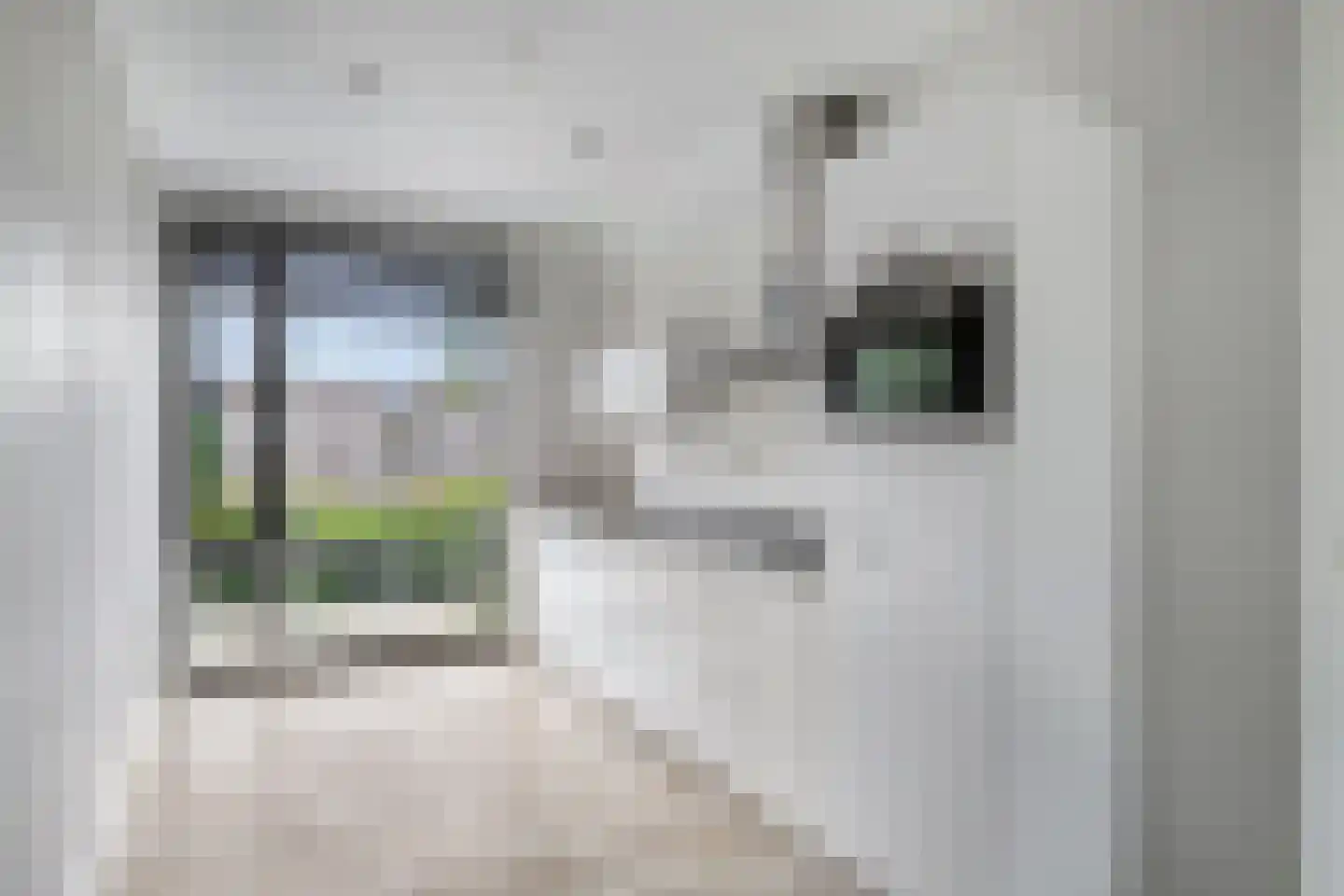 Kogelpot 2 Oss thumbnail 7