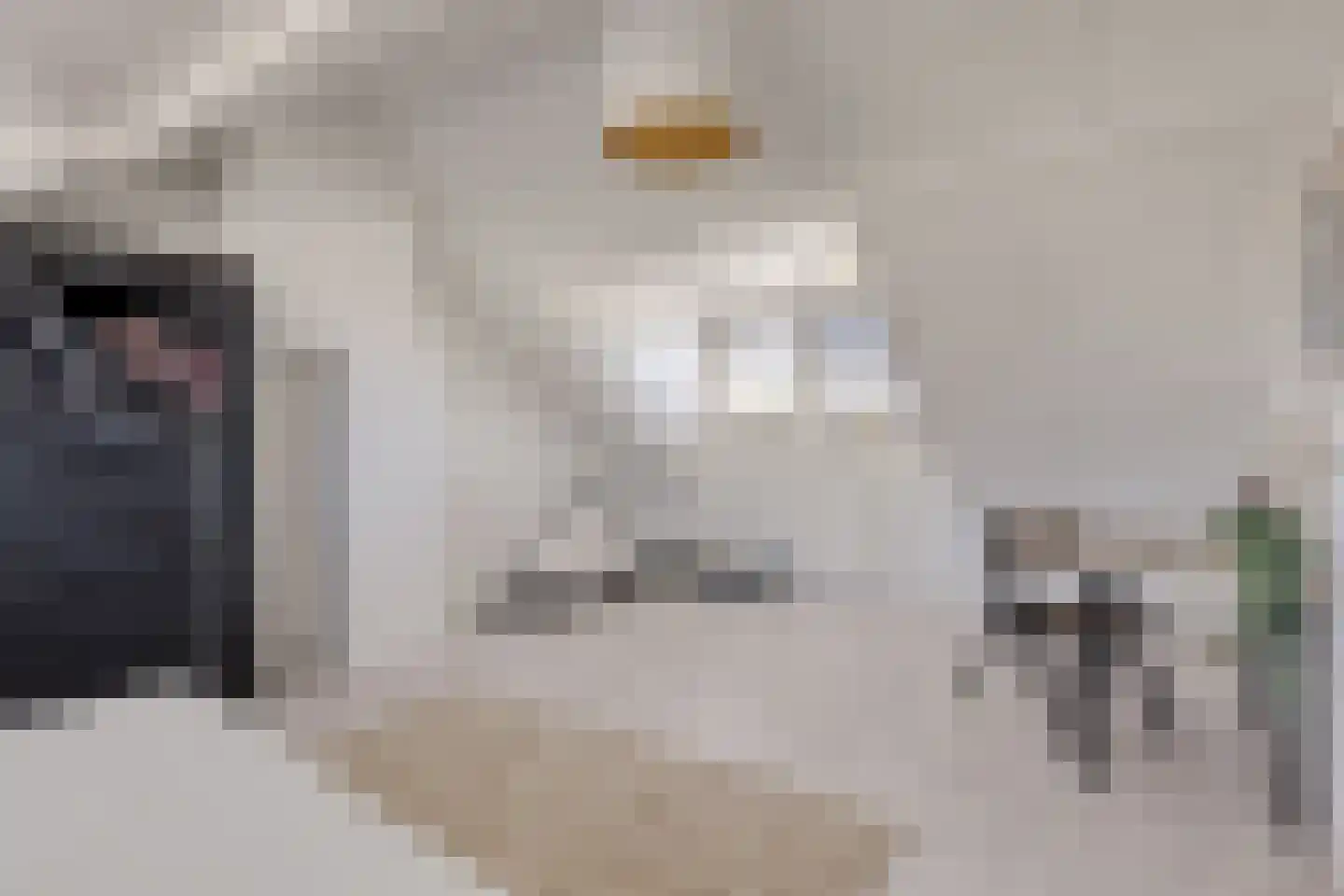 Kogelsmortel 23 Eindhoven thumbnail 34