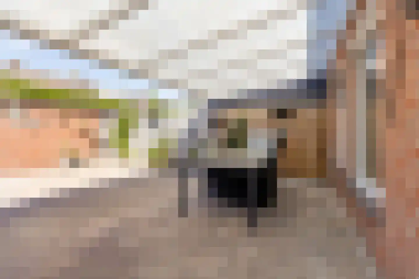 Kogelsmortel 23 Eindhoven thumbnail 39