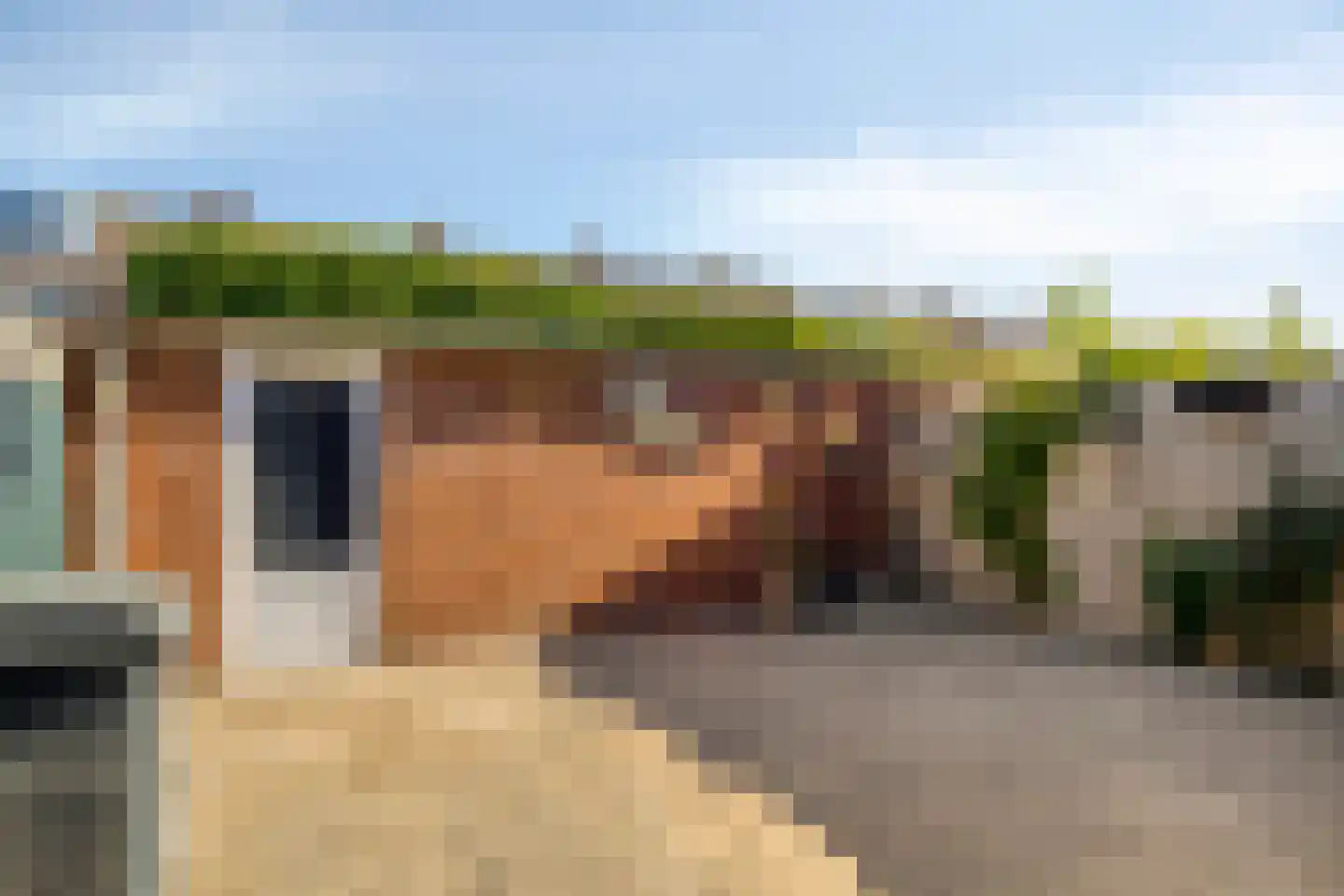Kogelsmortel 23 Eindhoven thumbnail 43