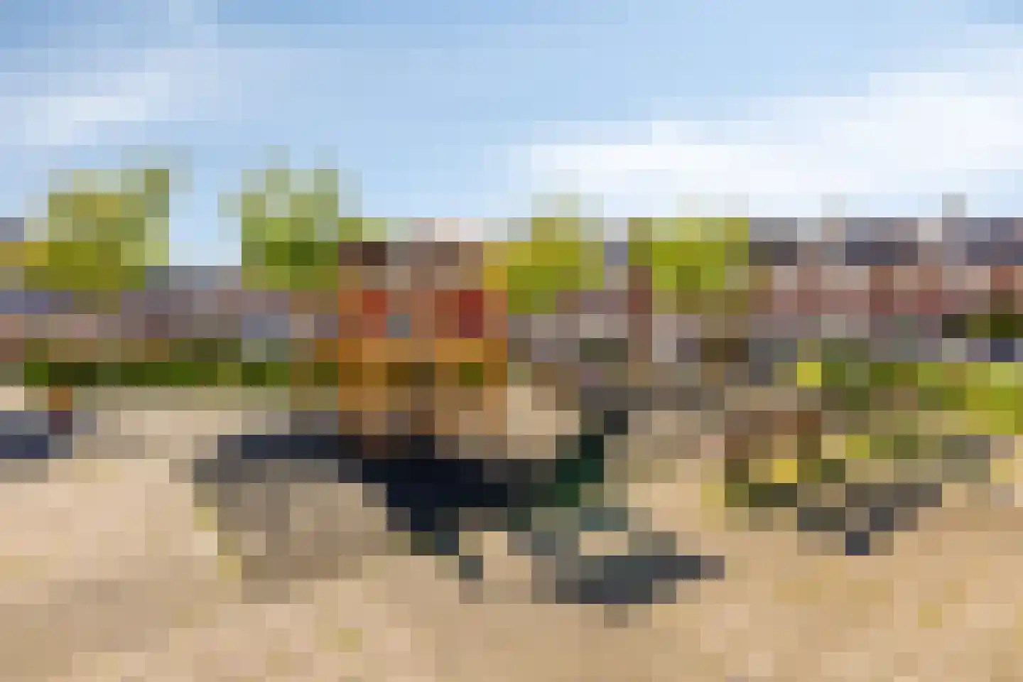 Kogelsmortel 23 Eindhoven thumbnail 46