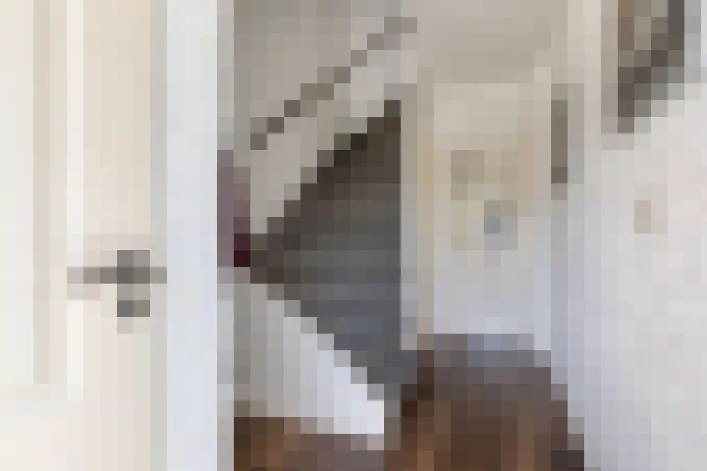 Kogelsmortel 23 Eindhoven thumbnail 6