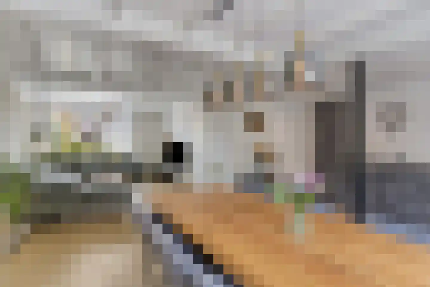 Kogelsmortel 38 Eindhoven thumbnail 12