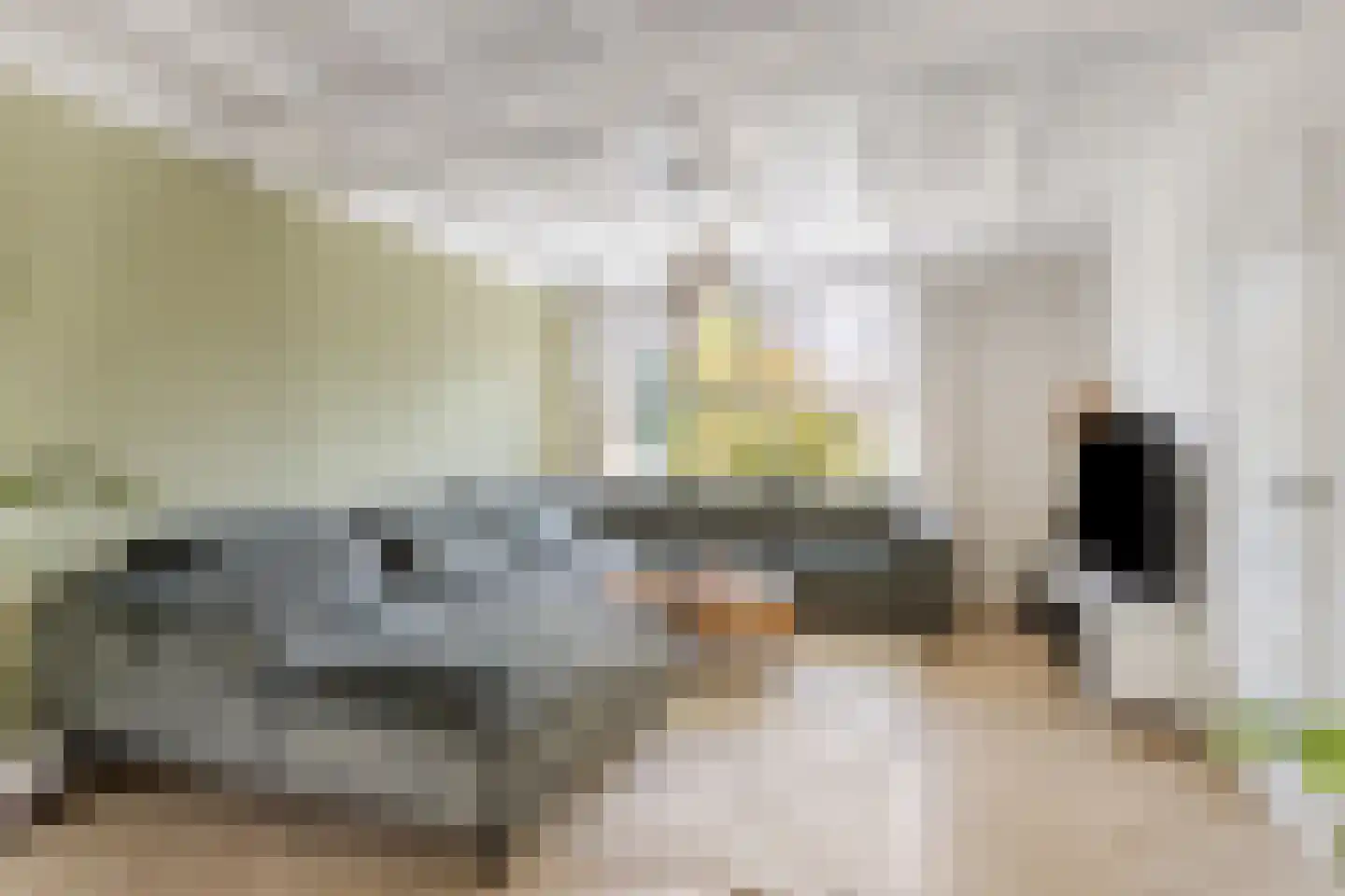 Kogelsmortel 38 Eindhoven thumbnail 8