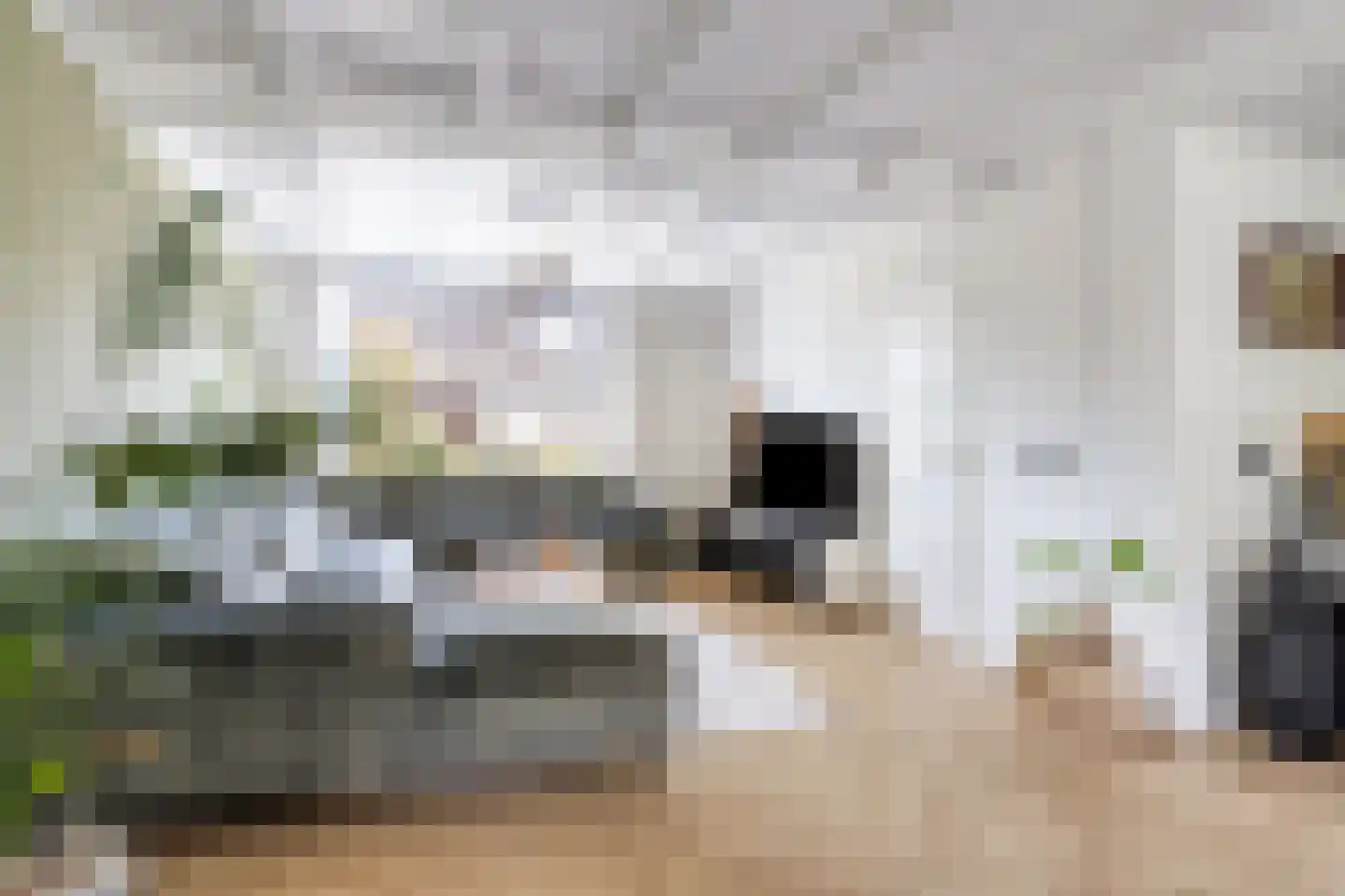Kogelsmortel 38 Eindhoven thumbnail 9