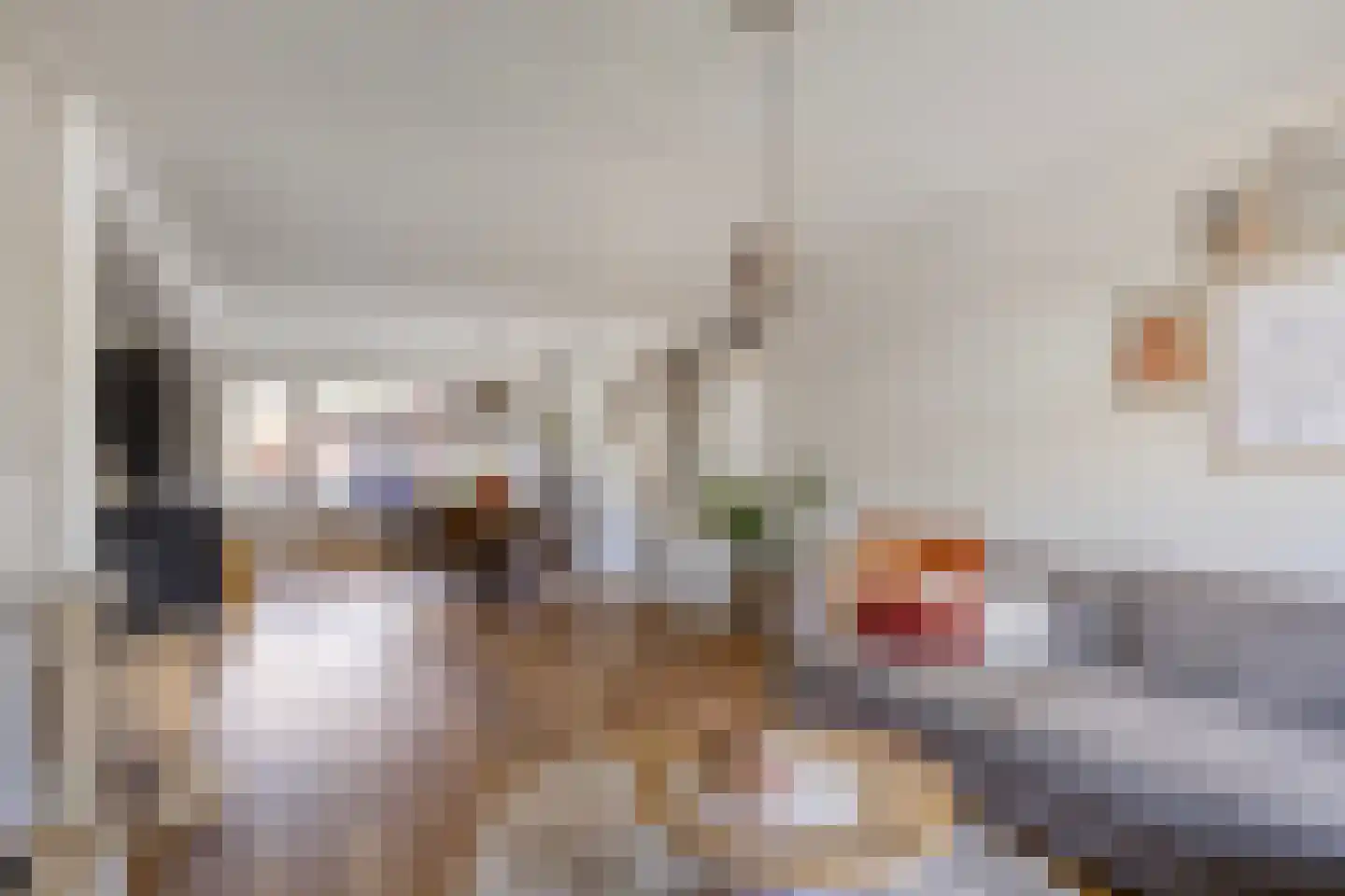 Kogelsmortel 6 Eindhoven thumbnail 13