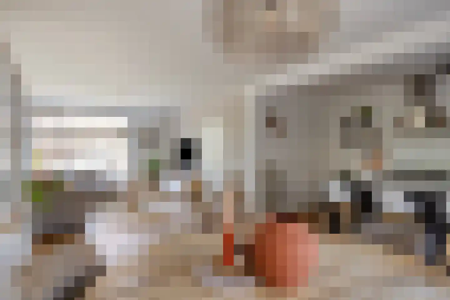 Kogelsmortel 6 Eindhoven thumbnail 16