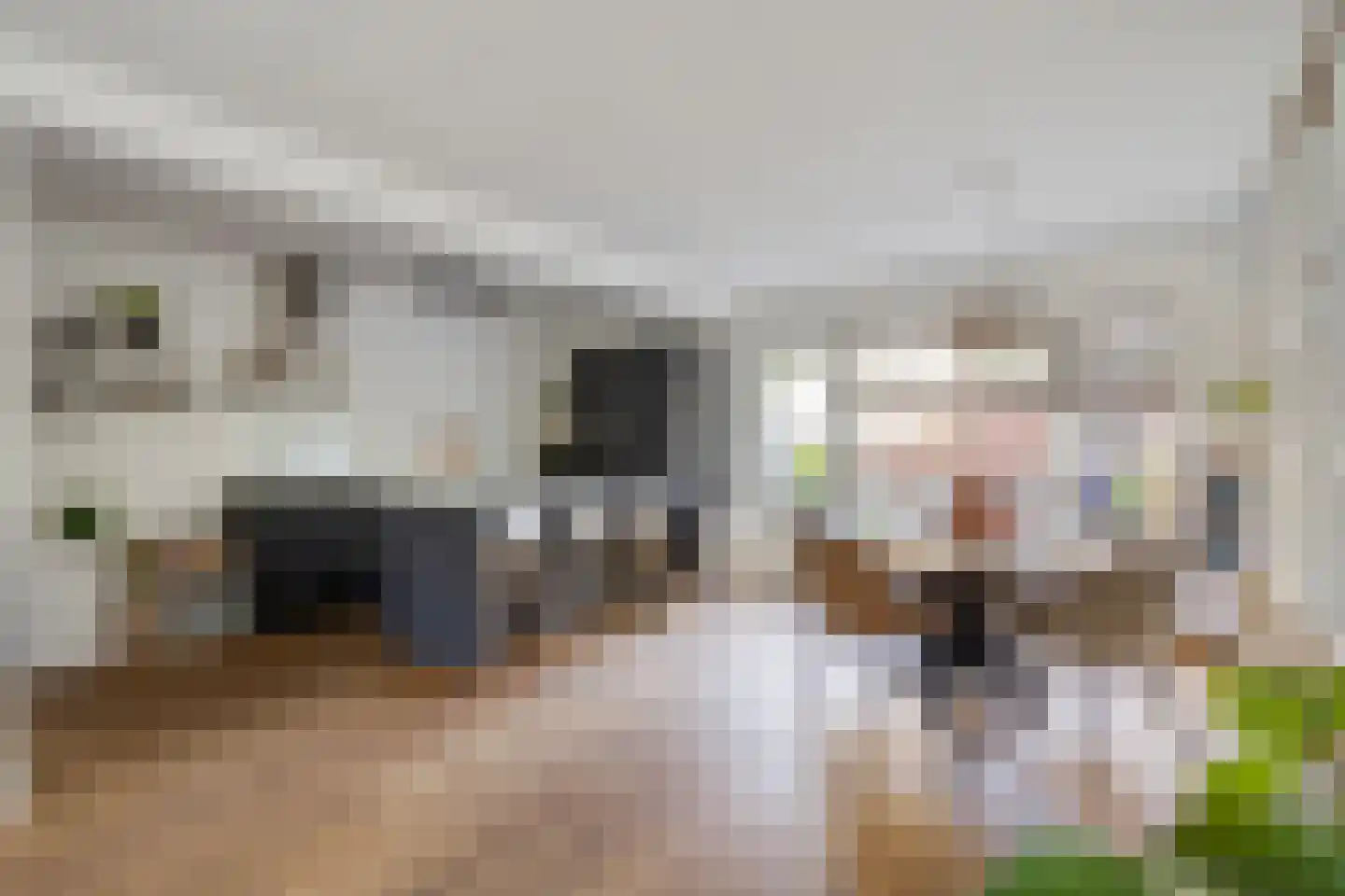 Kogelsmortel 6 Eindhoven thumbnail 17