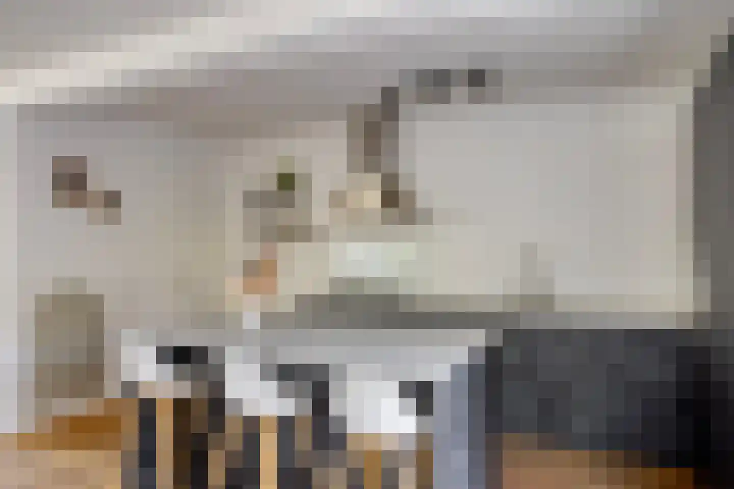 Kogelsmortel 6 Eindhoven thumbnail 21