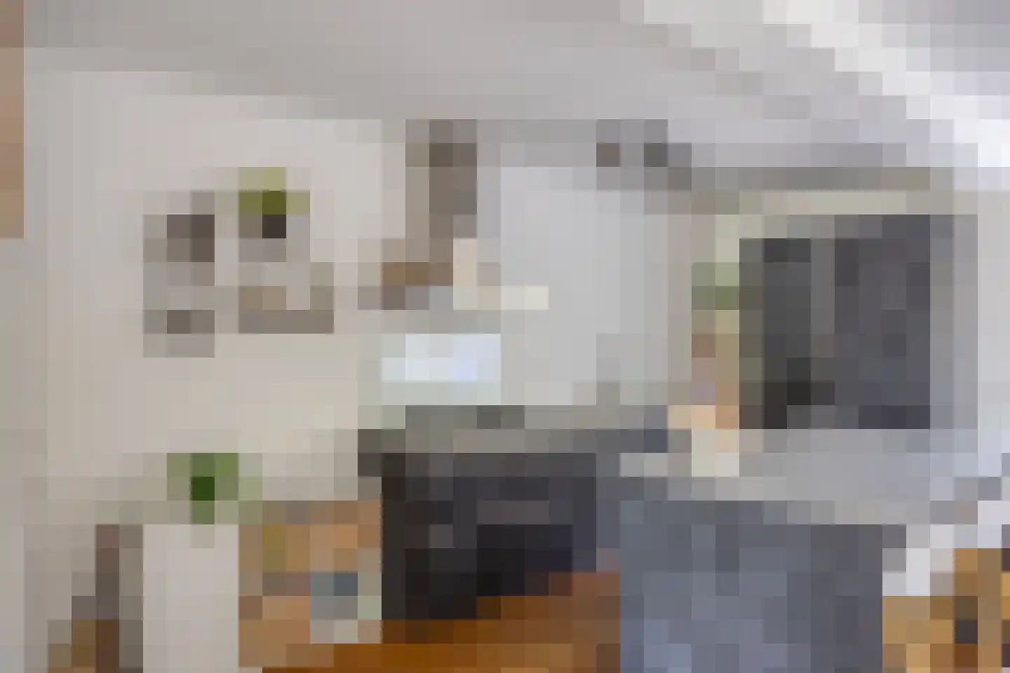Kogelsmortel 6 Eindhoven thumbnail 25
