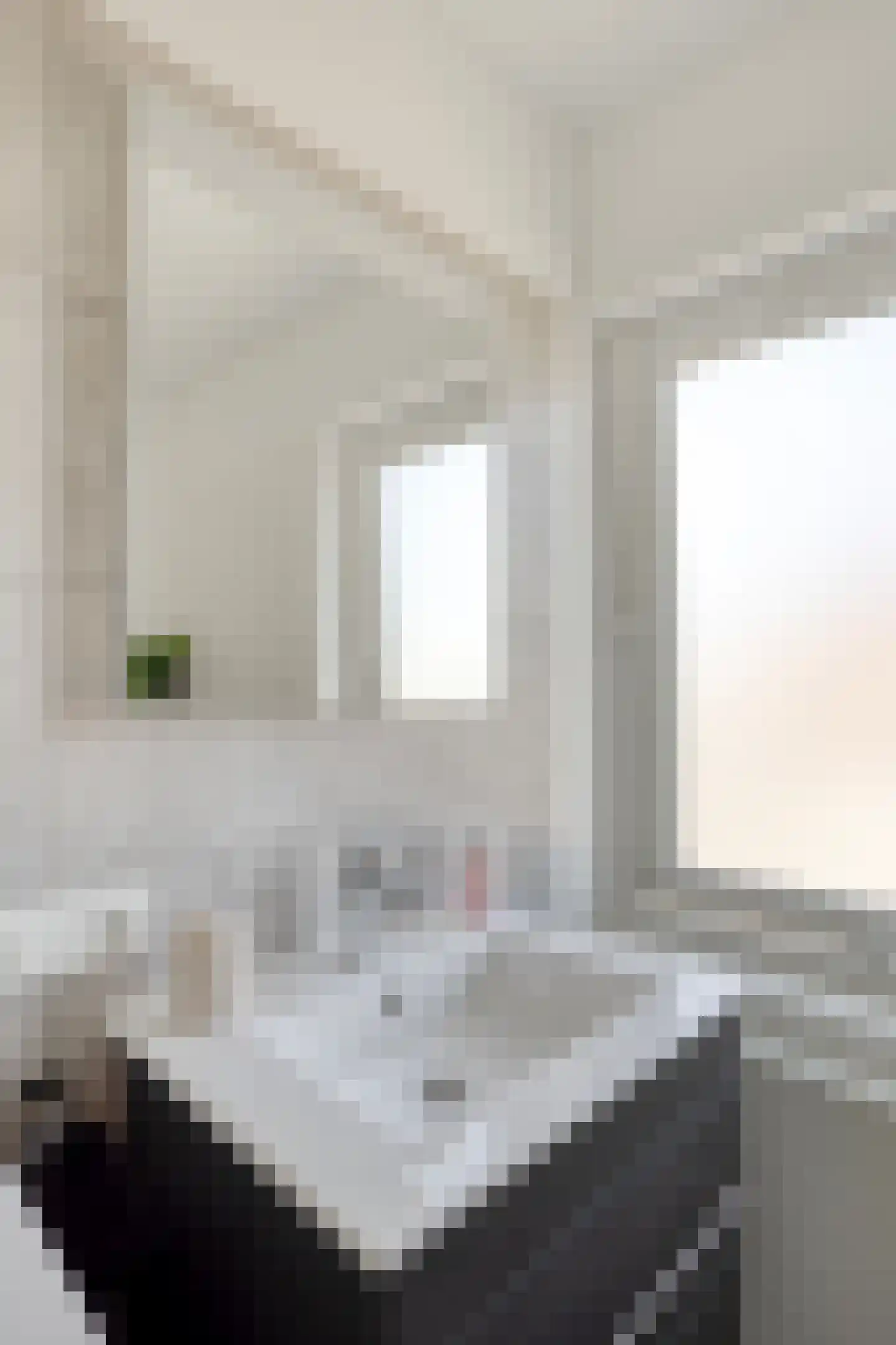 Kogelsmortel 6 Eindhoven thumbnail 34