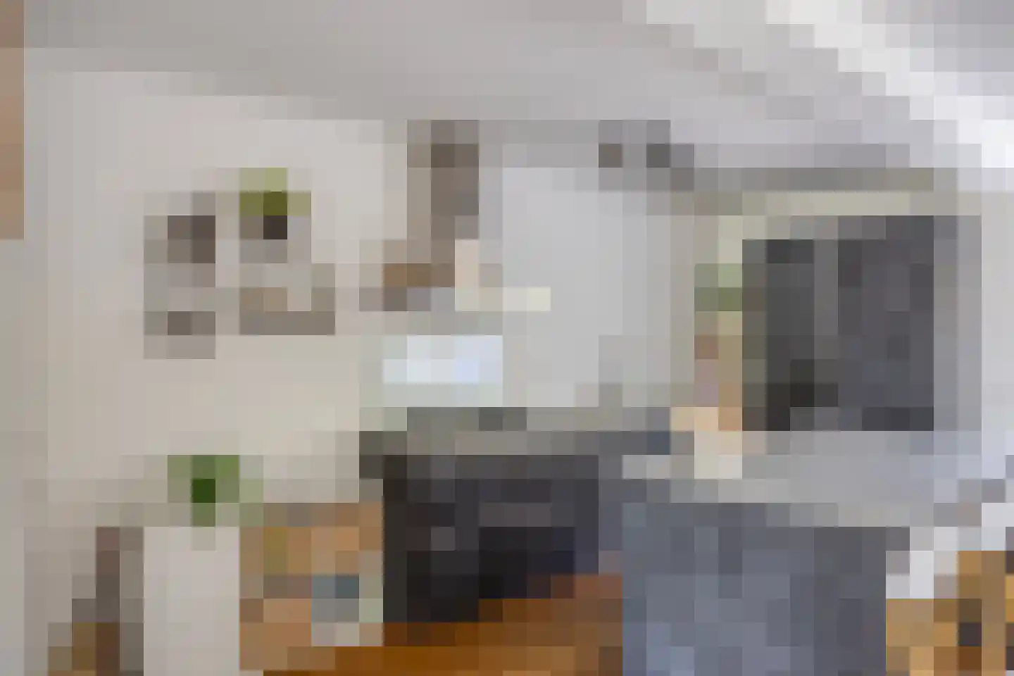 Kogelsmortel 6 Eindhoven thumbnail 4