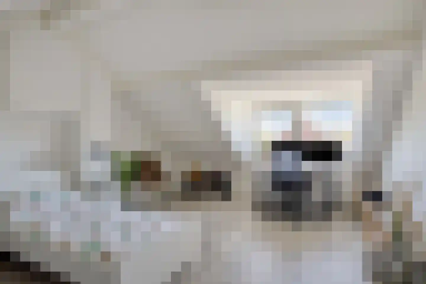 Kogelsmortel 6 Eindhoven thumbnail 41