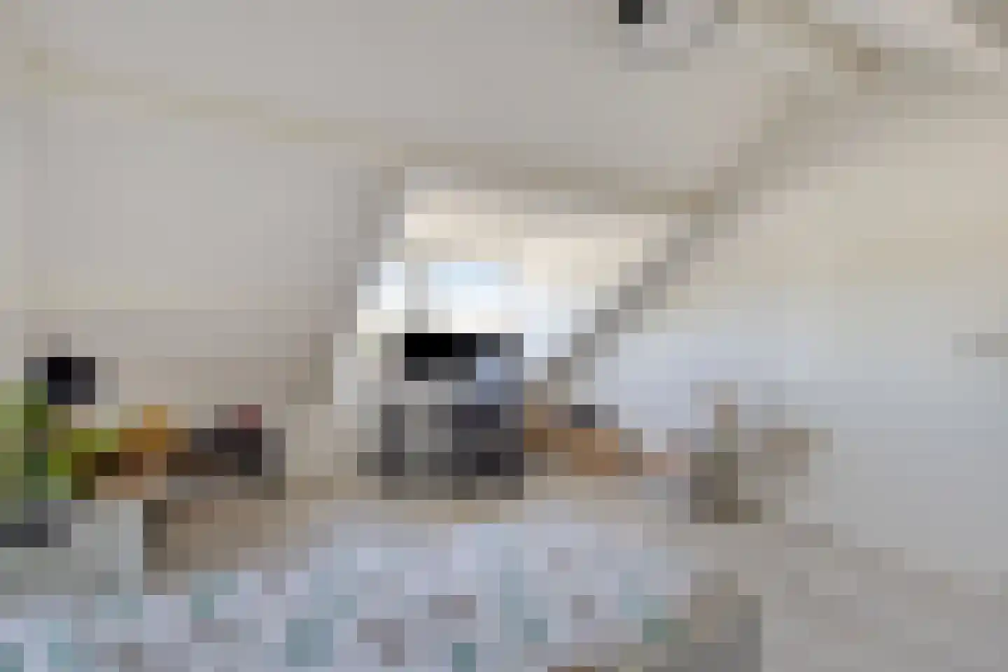 Kogelsmortel 6 Eindhoven thumbnail 42