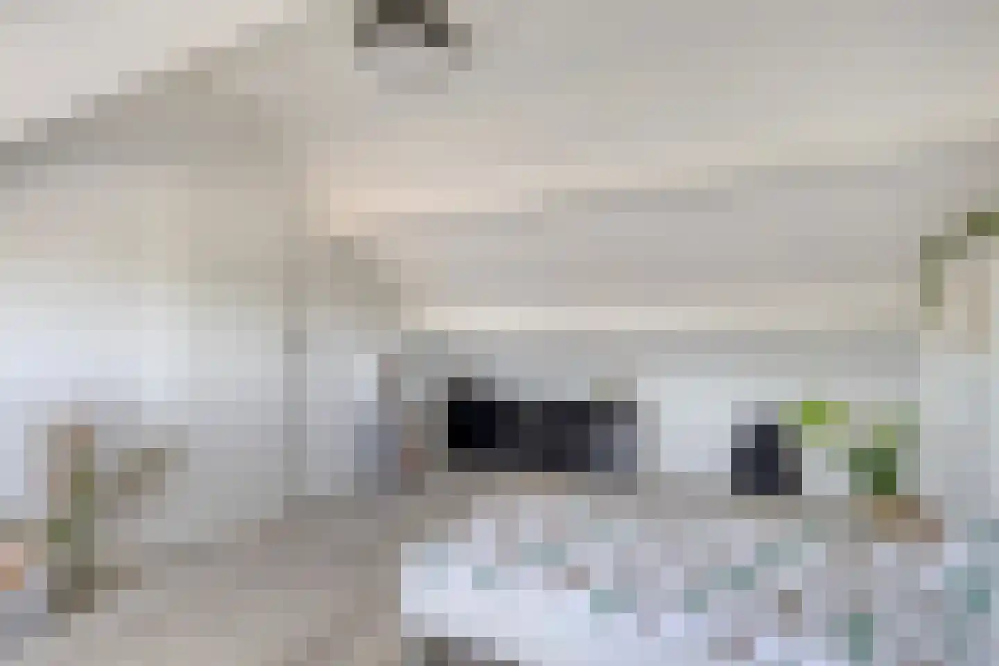 Kogelsmortel 6 Eindhoven thumbnail 43
