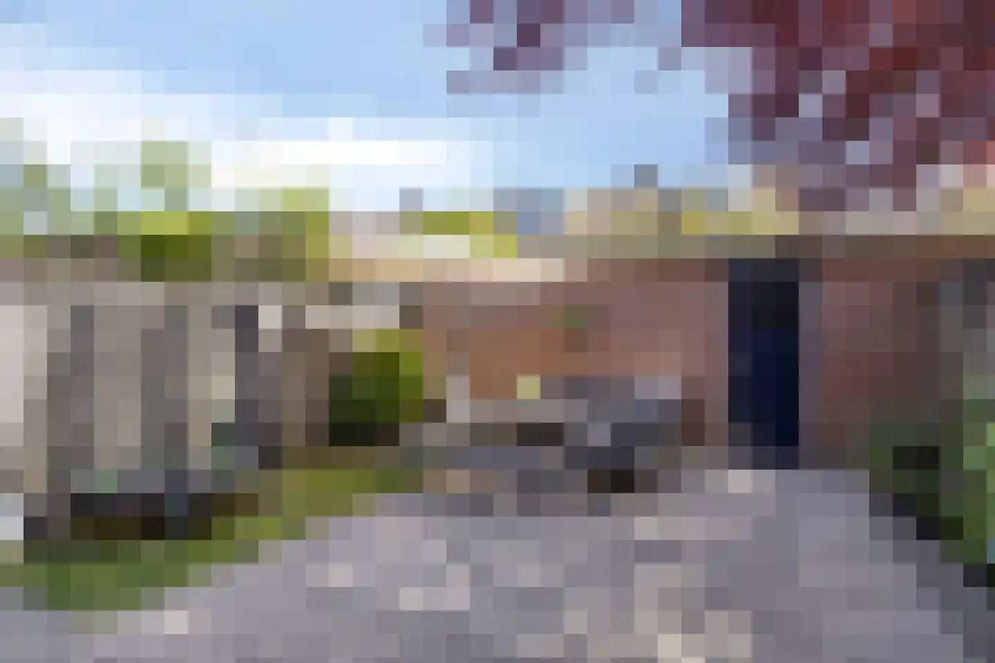 Kogelsmortel 6 Eindhoven thumbnail 44