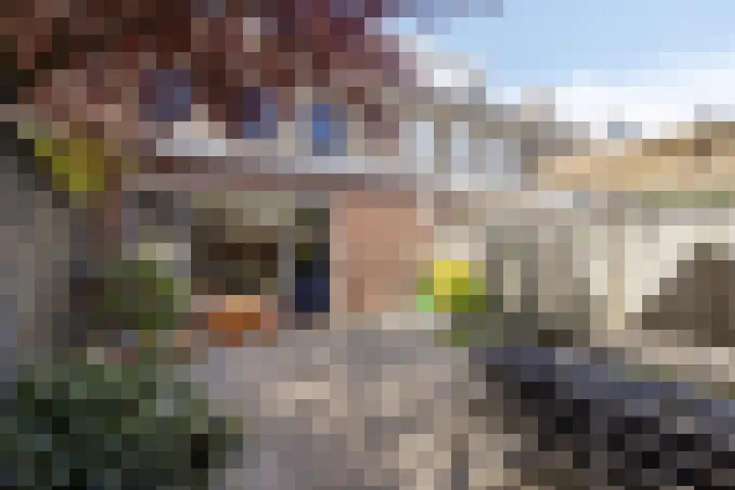 Kogelsmortel 6 Eindhoven thumbnail 46
