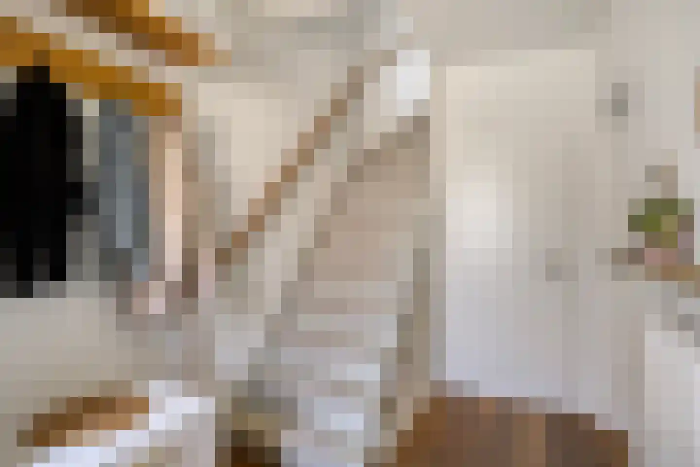 Kogelsmortel 6 Eindhoven thumbnail 8