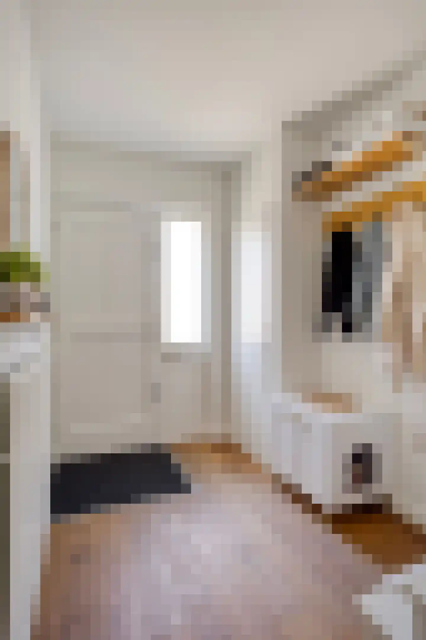 Kogelsmortel 6 Eindhoven thumbnail 9