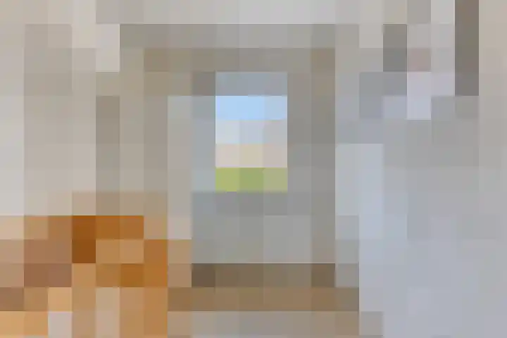 Kogelsmortel 9 Eindhoven thumbnail 15