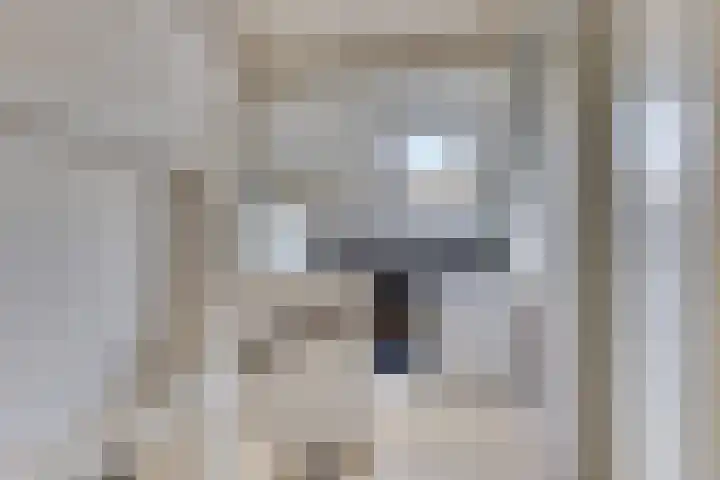 Kogelsmortel 9 Eindhoven thumbnail 16