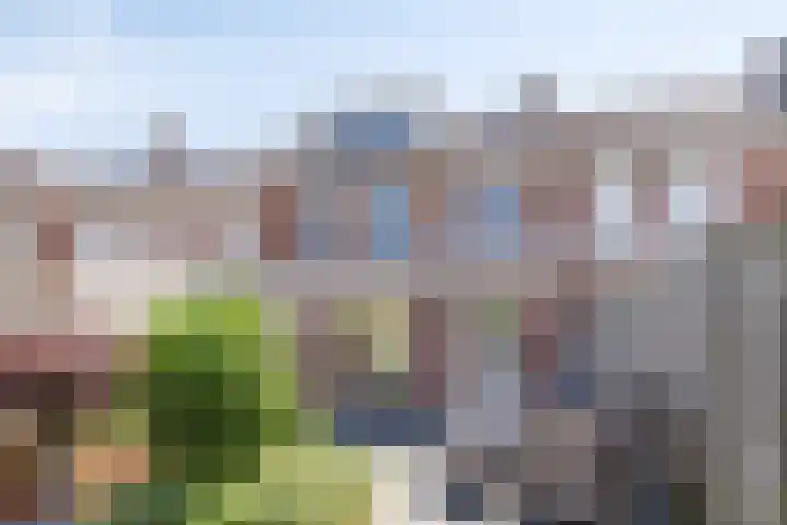 Kogelsmortel 9 Eindhoven thumbnail 20