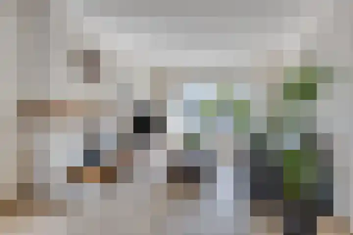 Kogelsmortel 9 Eindhoven thumbnail 4
