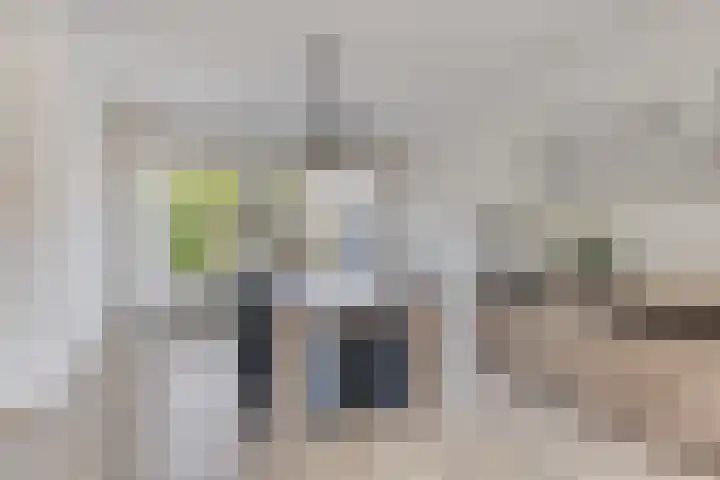 Kogelsmortel 9 Eindhoven thumbnail 5