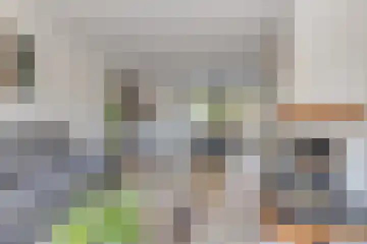 Kogelsmortel 9 Eindhoven thumbnail 6